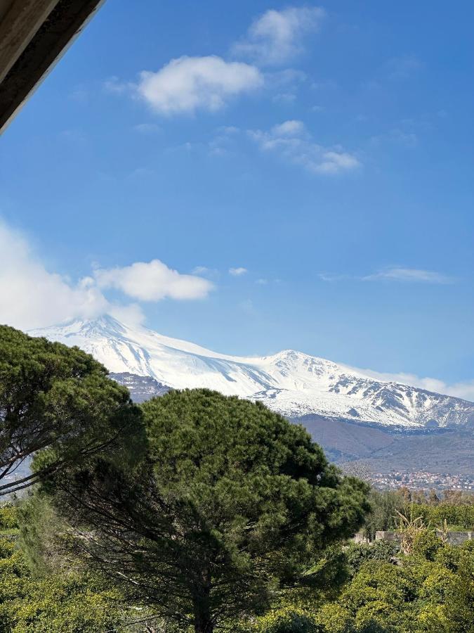 La Pigna Delle Aci Apartment Acireale Buitenkant foto